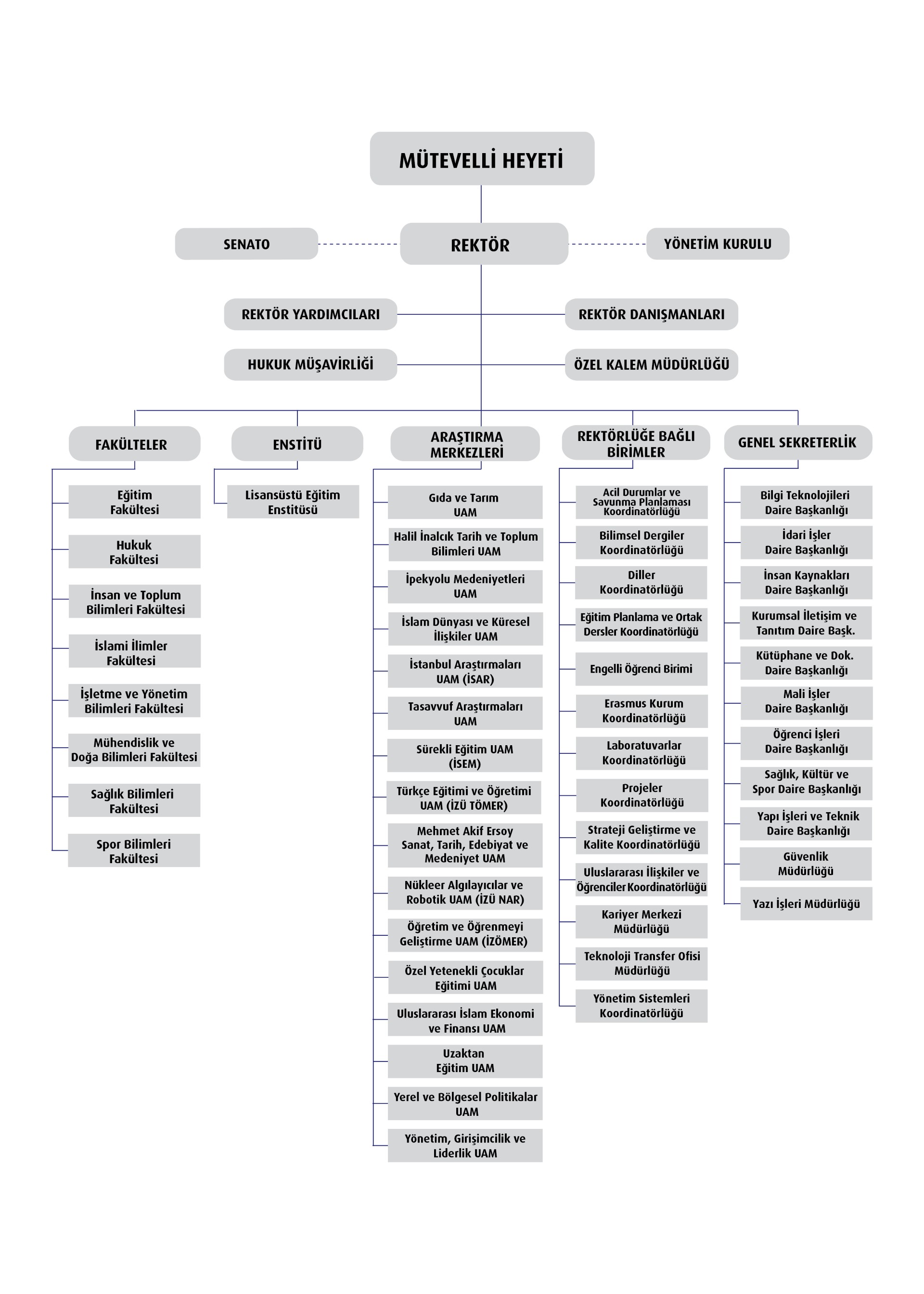 Organizasyon Şeması