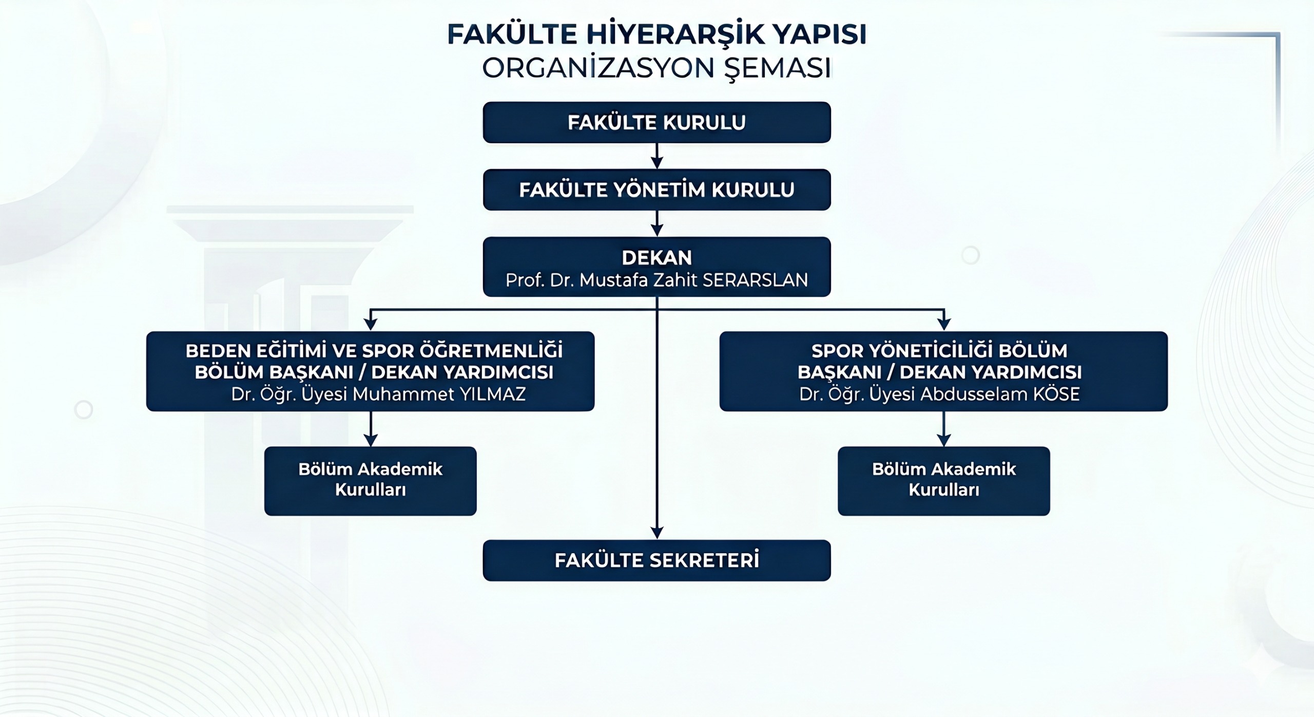 organizasyon şeması