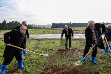 whatsapp-image-2024-12-25-at-17-42-37b4991bd4d45f4c67b670b7b9fe2323e3.jpeg